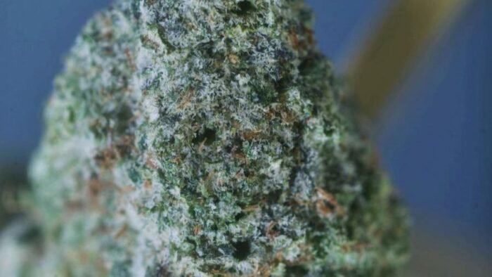 EXOTICS LUCKY DIP CANNABIS - ukpablo.com
