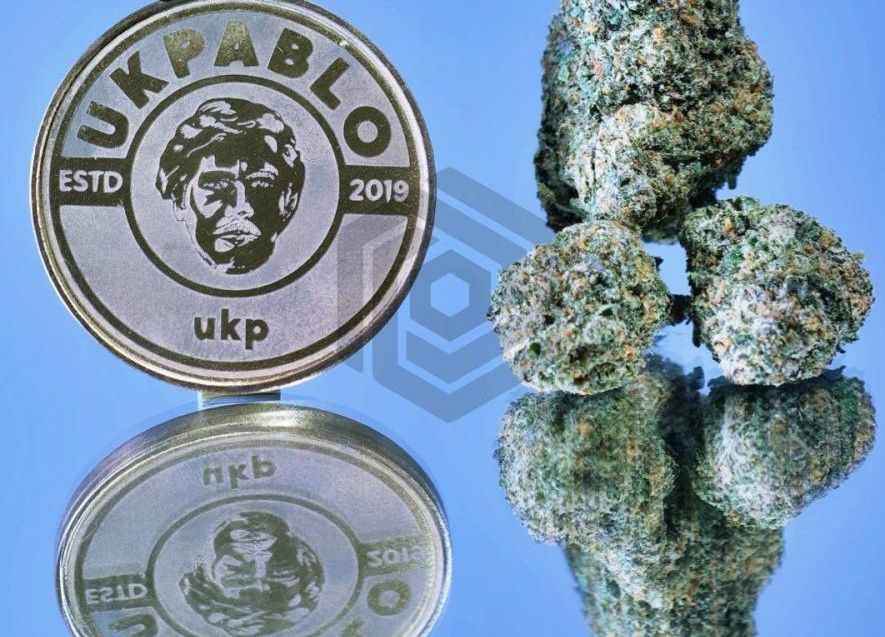 4c1d3d79-c743-47ee-9f4a-a35ff4aca41c