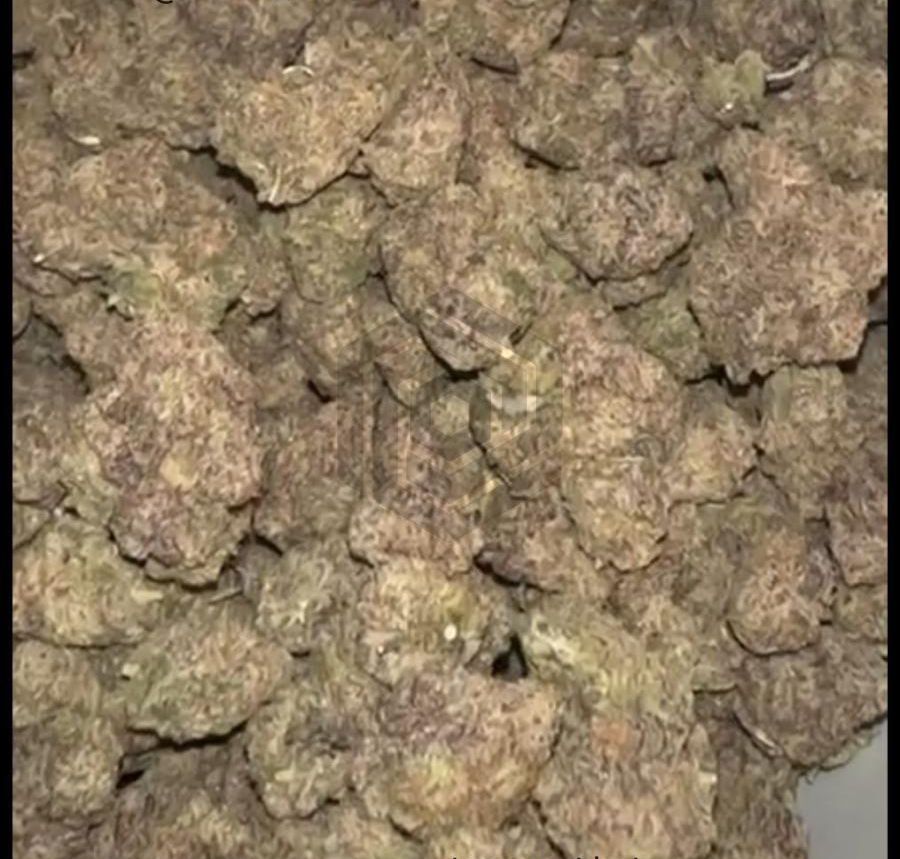 90df6e2c-9405-4aa9-a651-cc2ea73ccb09